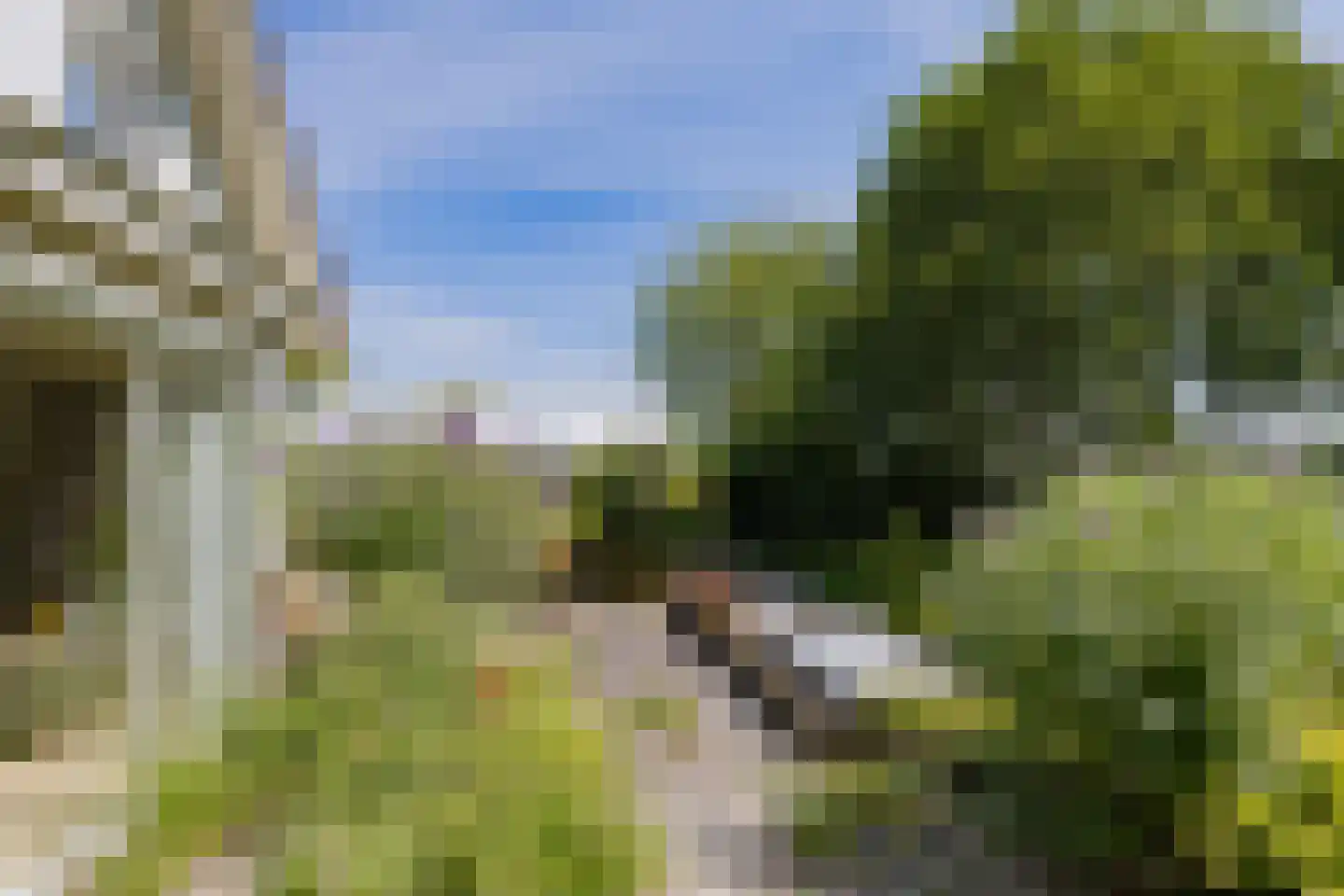 Wasbeeklaan 37 Warmond thumbnail 59