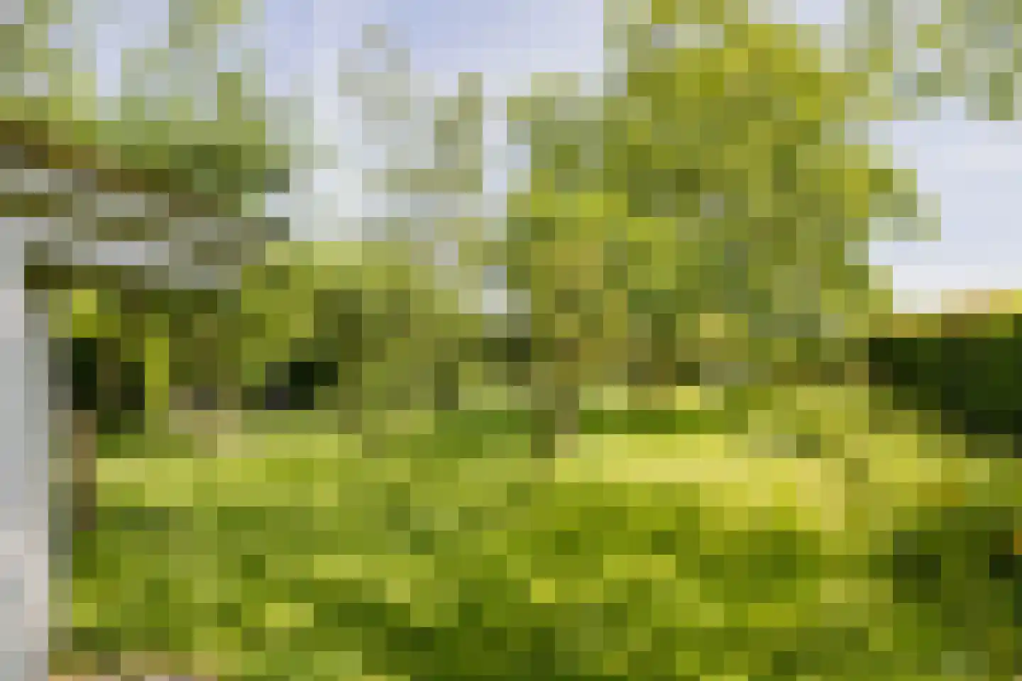 Wasbeeklaan 37 Warmond thumbnail 60