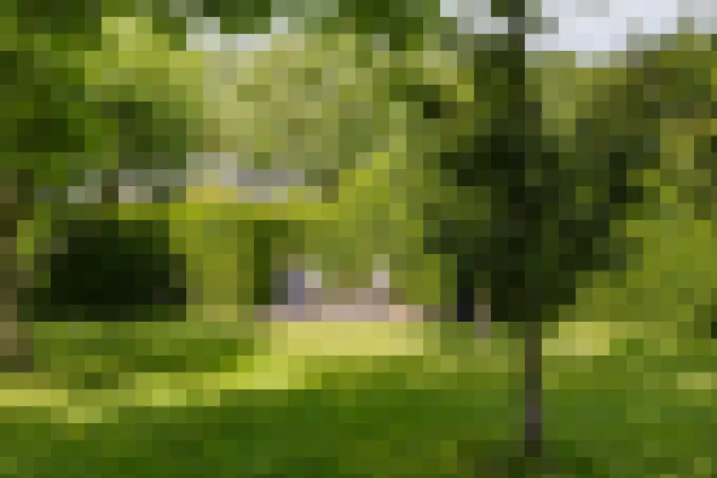 Wasbeeklaan 37 Warmond thumbnail 61