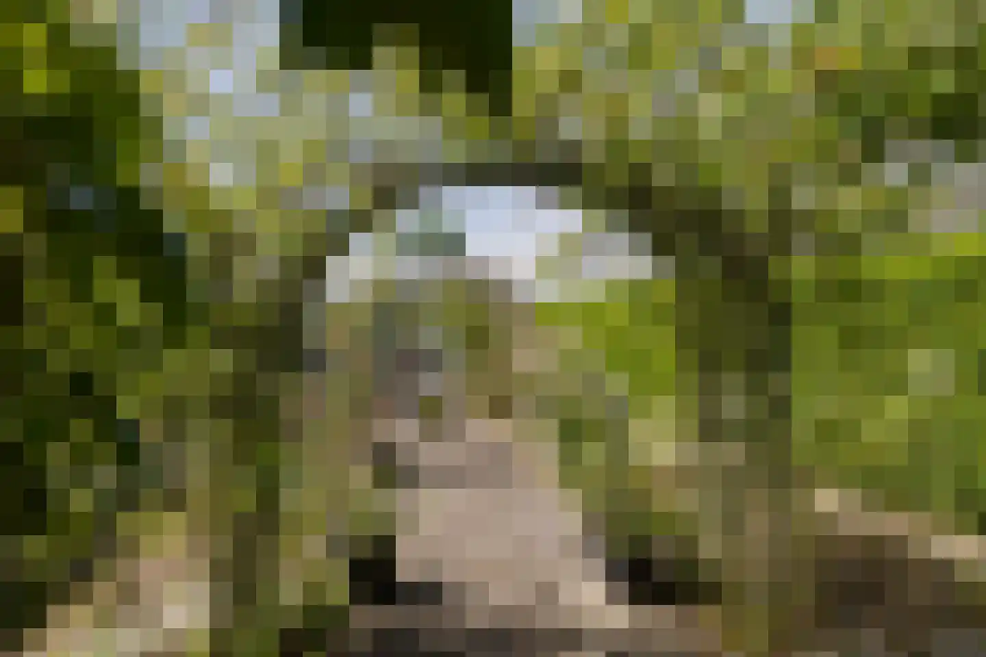 Wasbeeklaan 37 Warmond thumbnail 62