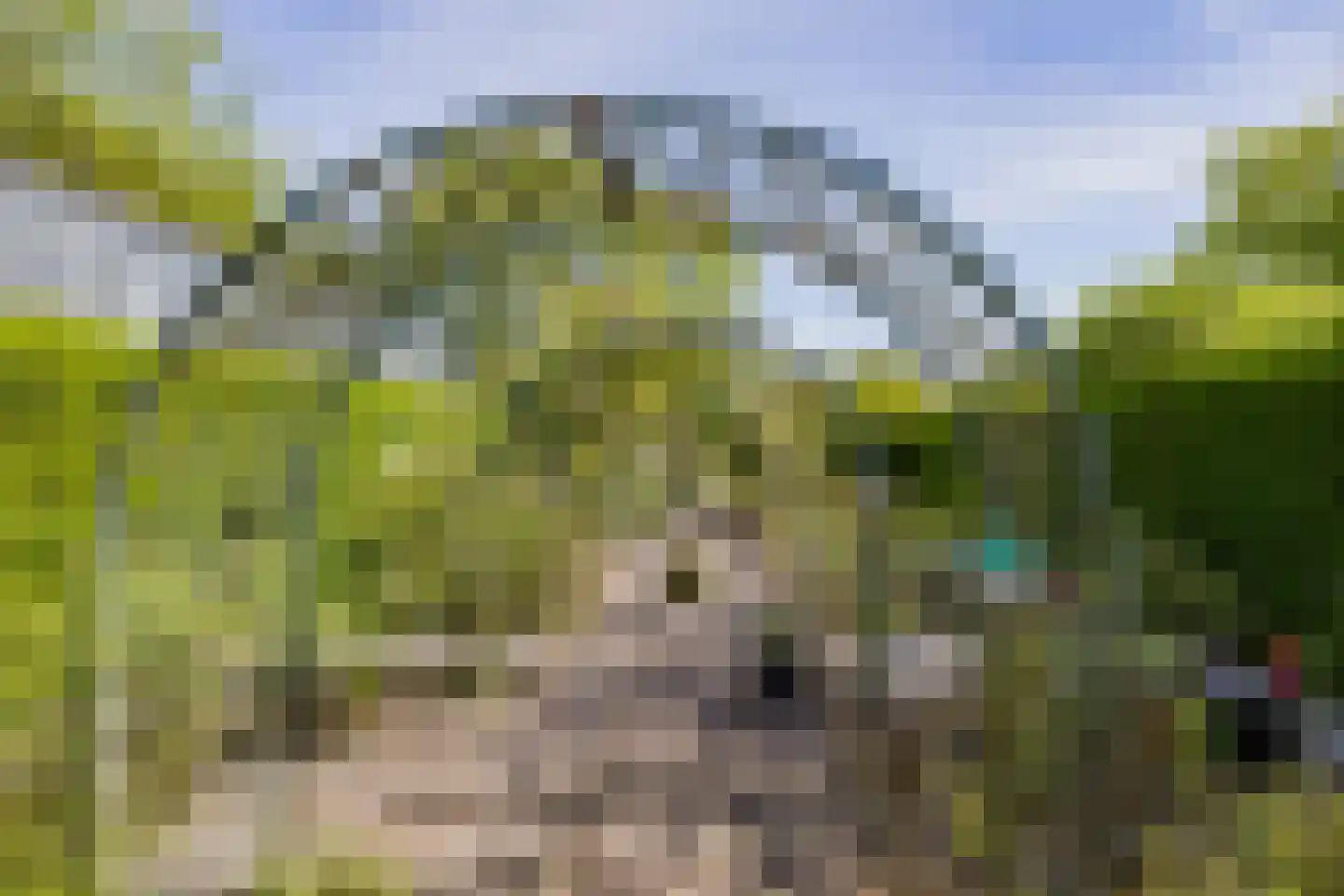 Wasbeeklaan 37 Warmond thumbnail 63