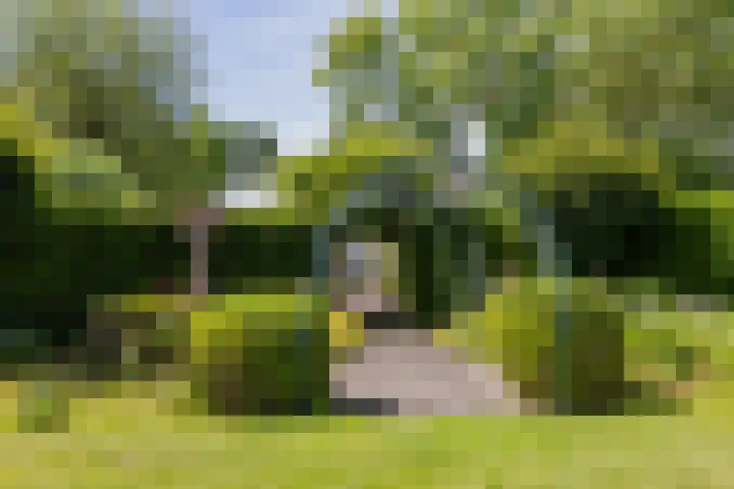 Wasbeeklaan 37 Warmond thumbnail 64