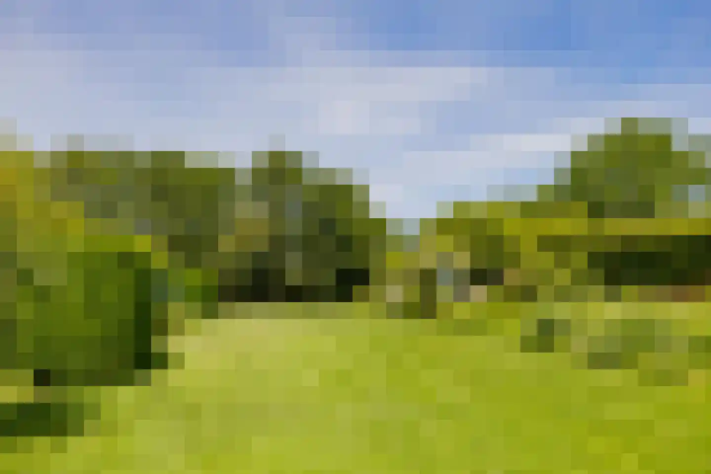 Wasbeeklaan 37 Warmond thumbnail 65