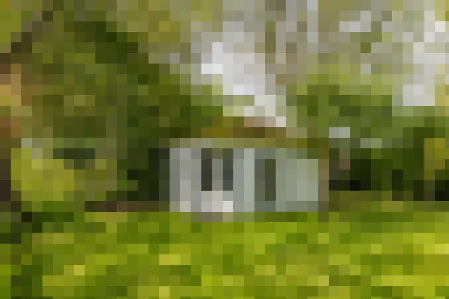 Wasbeeklaan 37 Warmond thumbnail 66