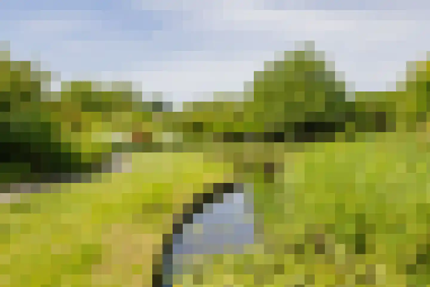 Wasbeeklaan 37 Warmond thumbnail 68