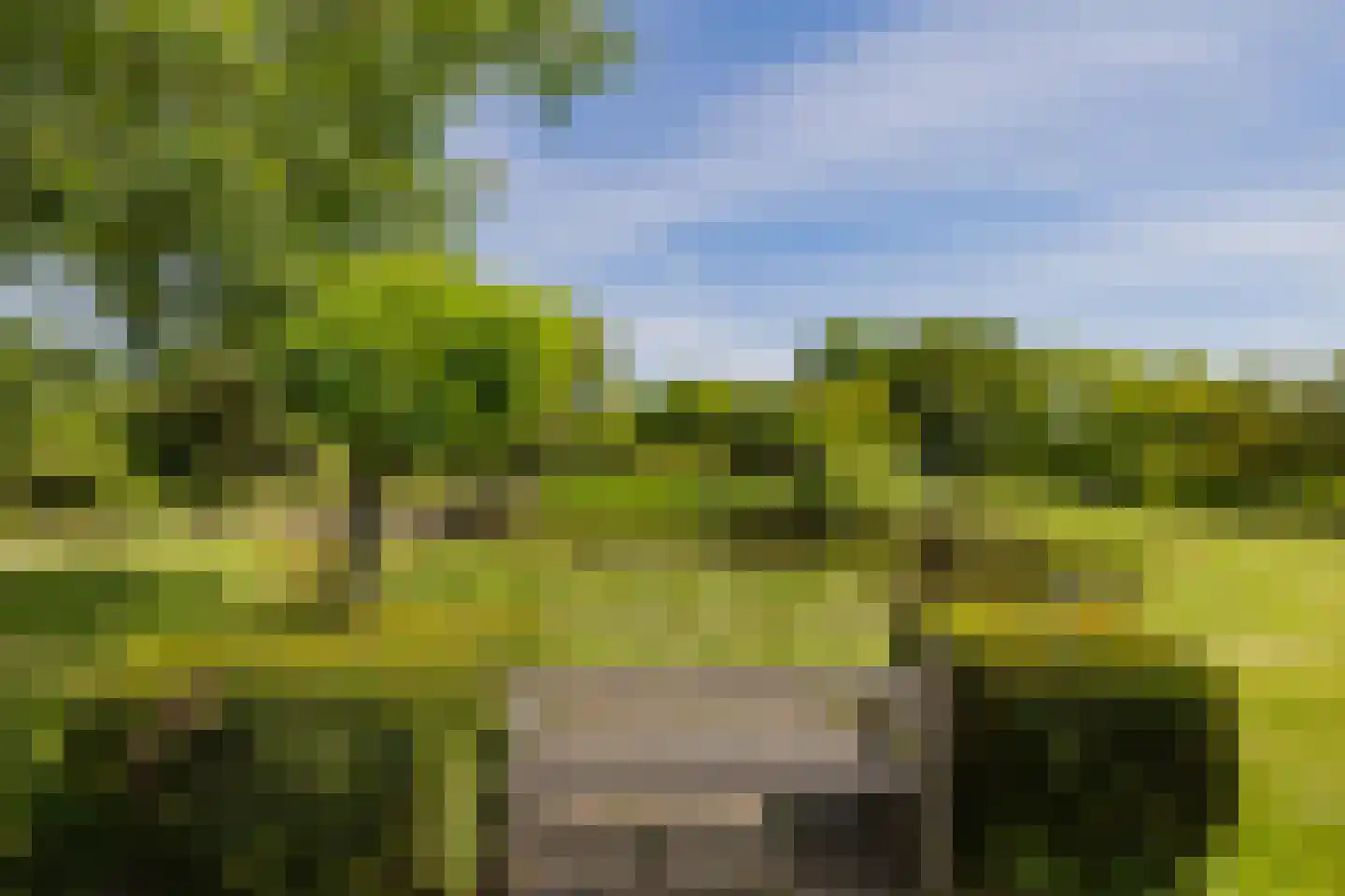 Wasbeeklaan 37 Warmond thumbnail 69