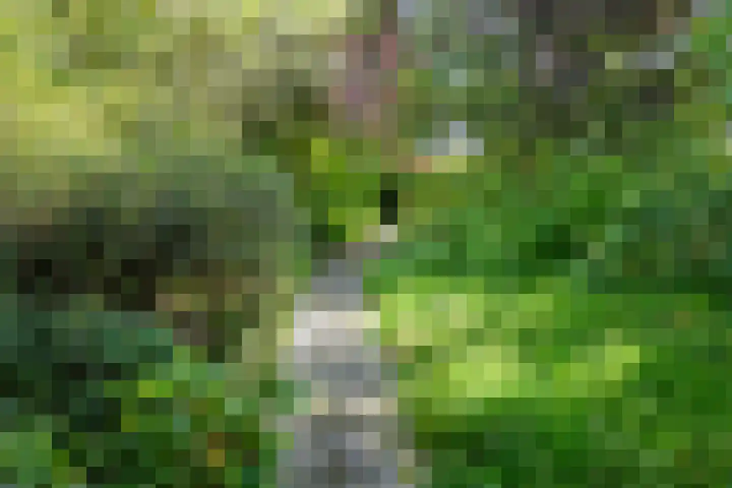 Wasbeeklaan 37 Warmond thumbnail 71