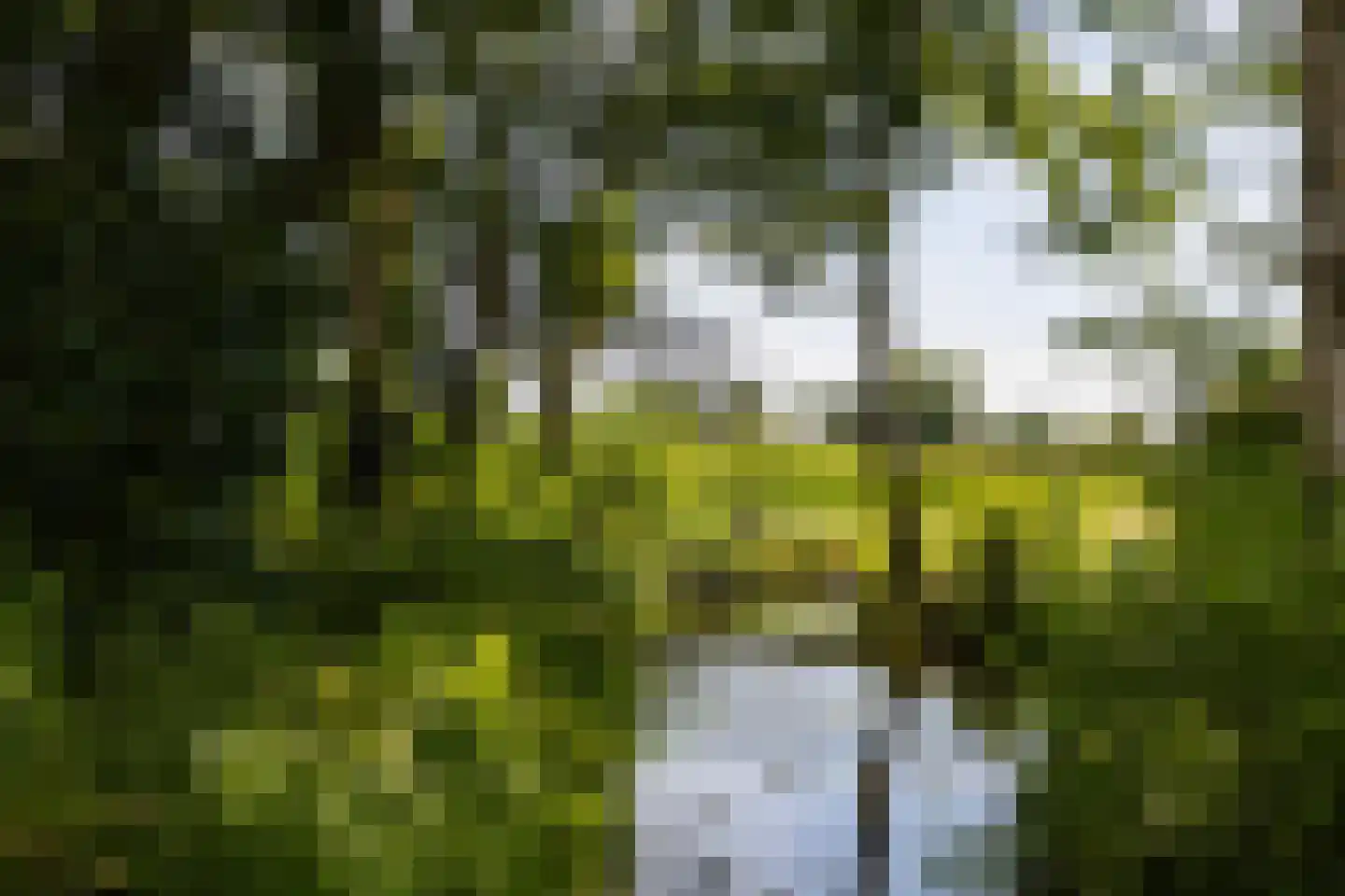 Wasbeeklaan 37 Warmond thumbnail 72