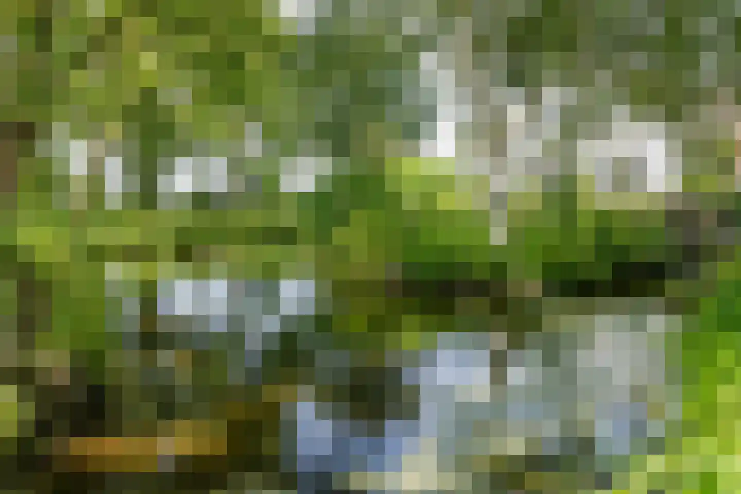 Wasbeeklaan 37 Warmond thumbnail 73