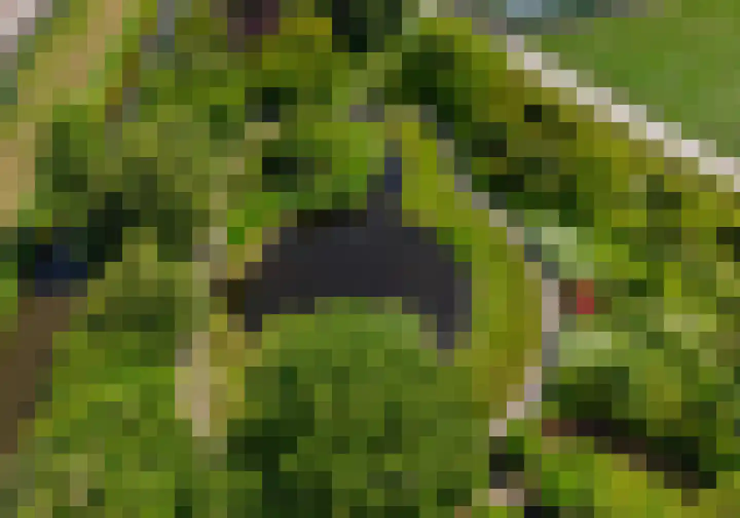 Wasbeeklaan 37 Warmond thumbnail 75