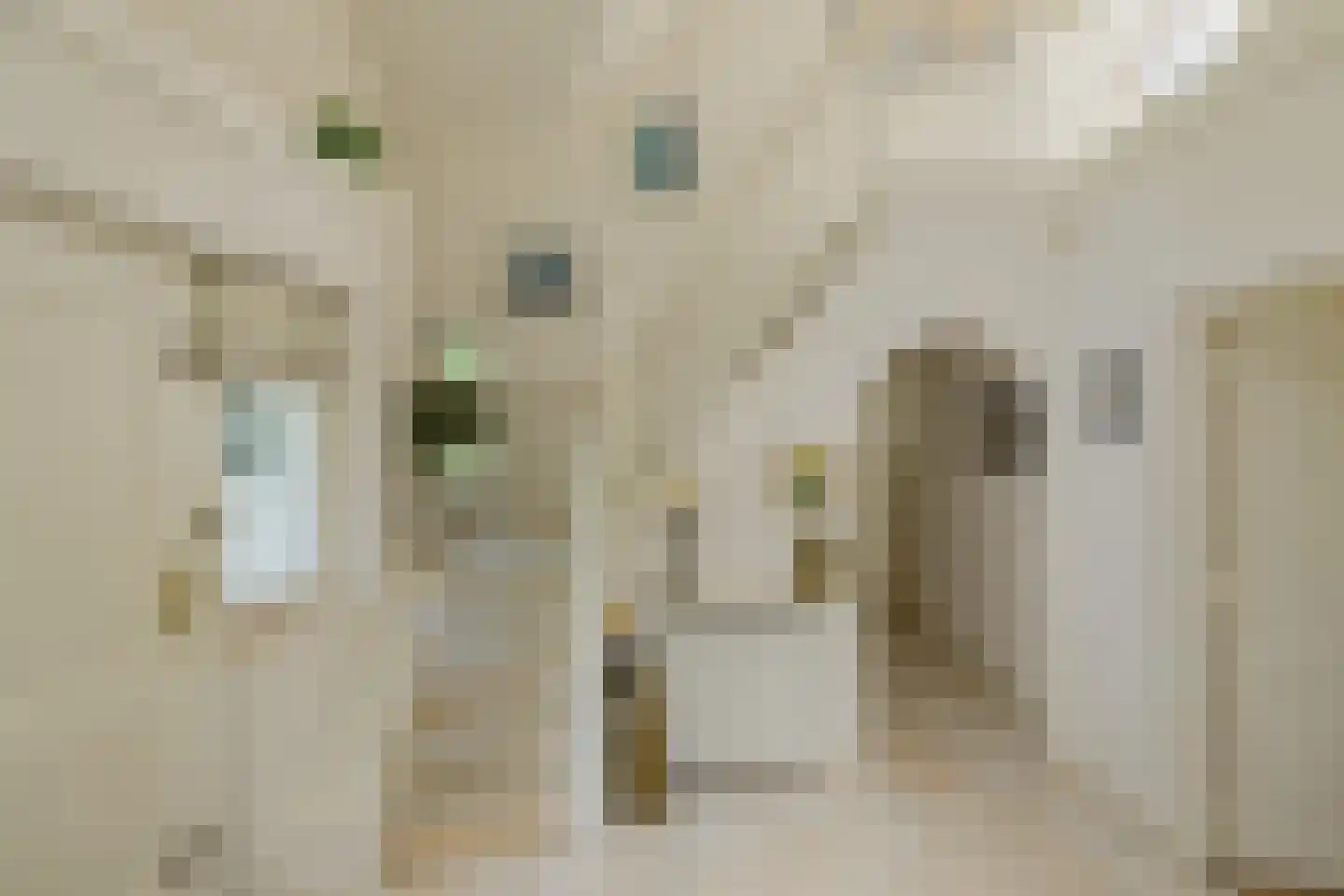 Wasbeeklaan 37 Warmond thumbnail 8