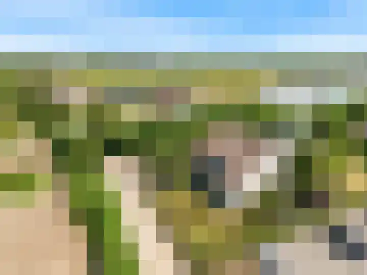 Wasbeeklaan 5 Warmond