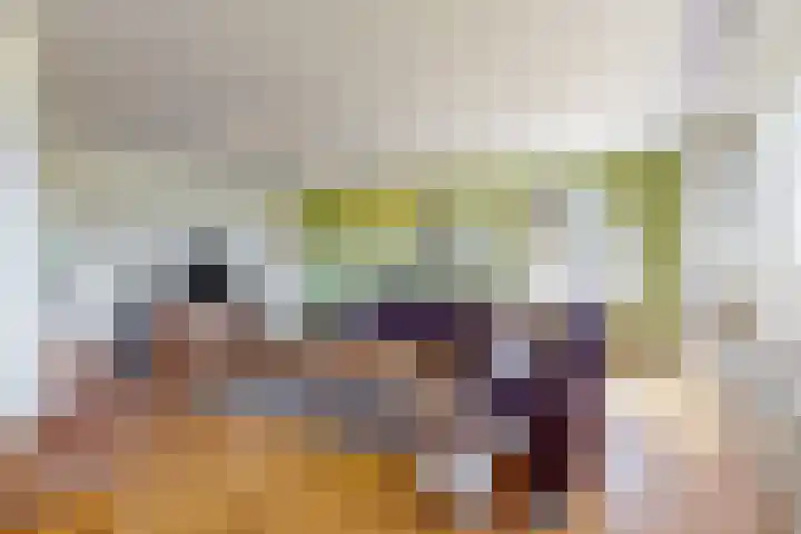 Wasbeeklaan 5 Warmond thumbnail 12