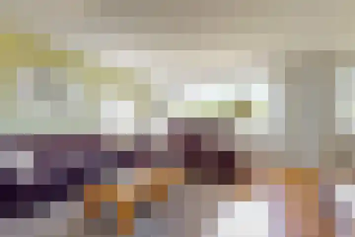 Wasbeeklaan 5 Warmond thumbnail 13