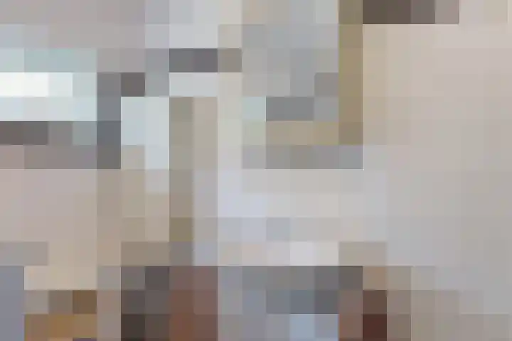 Wasbeeklaan 5 Warmond thumbnail 20