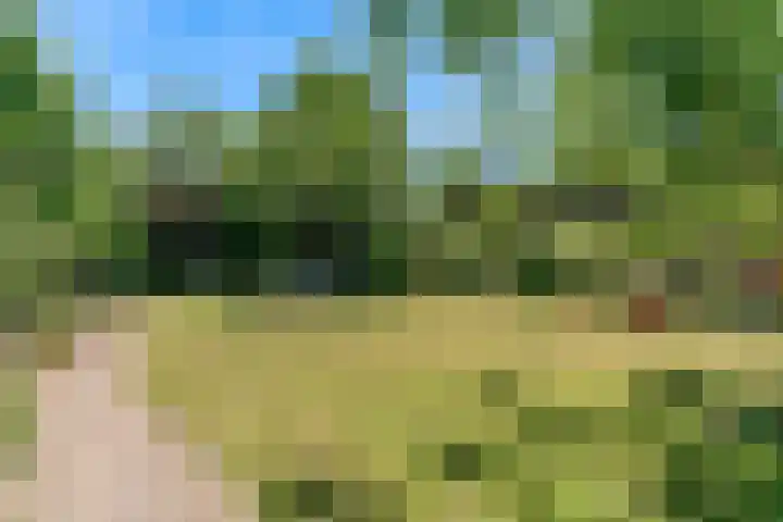 Wasbeeklaan 5 Warmond thumbnail 33