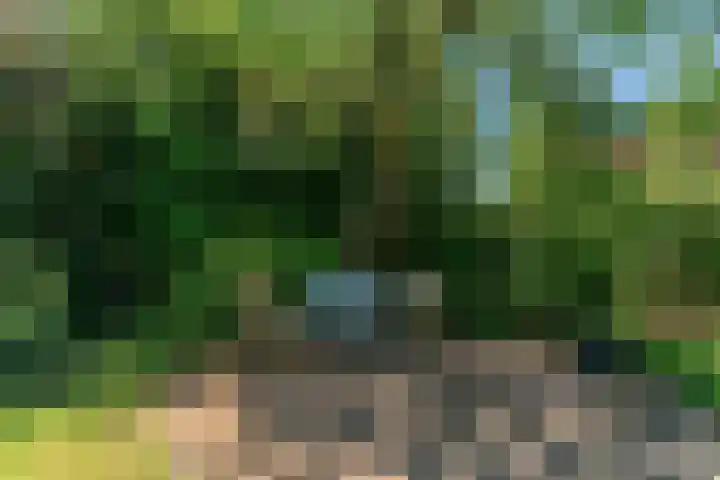 Wasbeeklaan 5 Warmond thumbnail 34