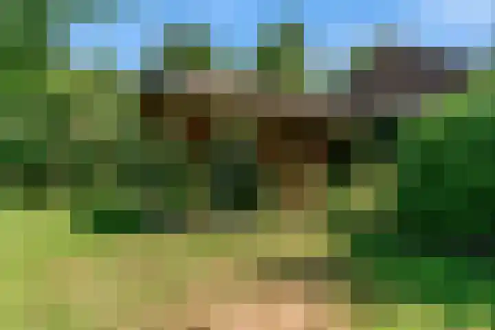 Wasbeeklaan 5 Warmond thumbnail 36