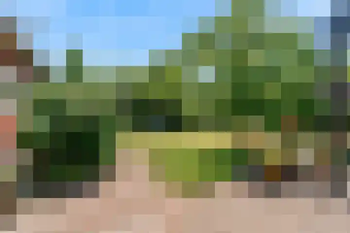 Wasbeeklaan 5 Warmond thumbnail 4