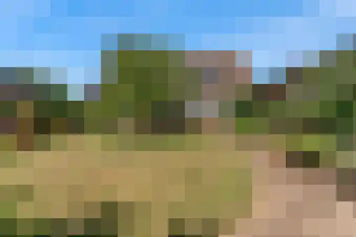 Wasbeeklaan 5 Warmond thumbnail 42