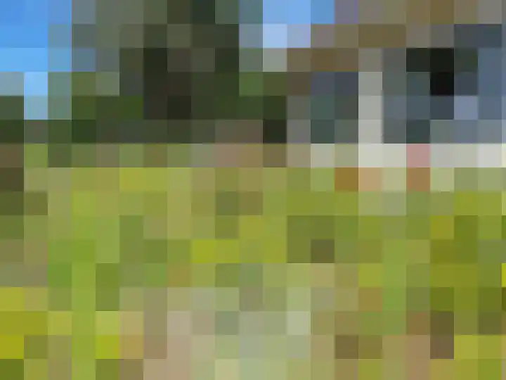 Wasbeeklaan 5 Warmond thumbnail 45
