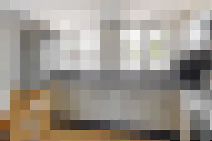 Wasbeeklaan 5 Warmond thumbnail 8