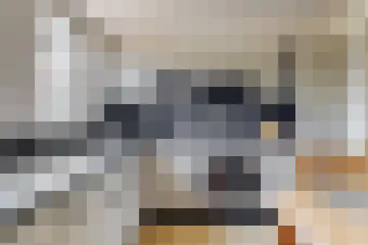 Wasbeeklaan 5 Warmond thumbnail 9