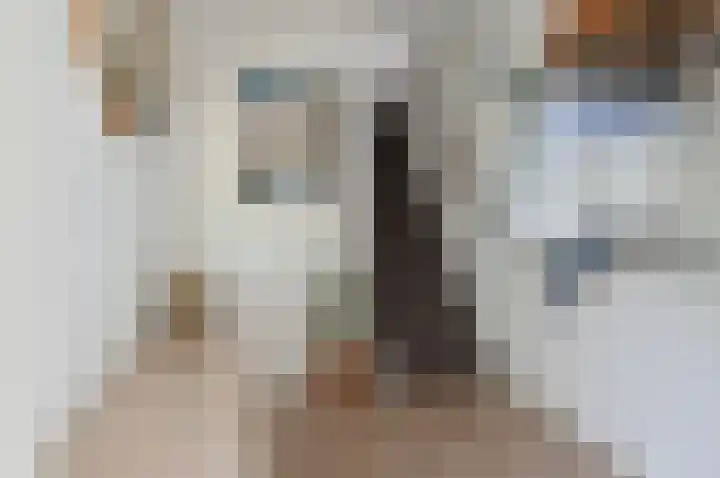 Wasbeer 1 Huizen thumbnail 17