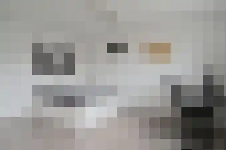 Wasbeer 1 Huizen thumbnail 18