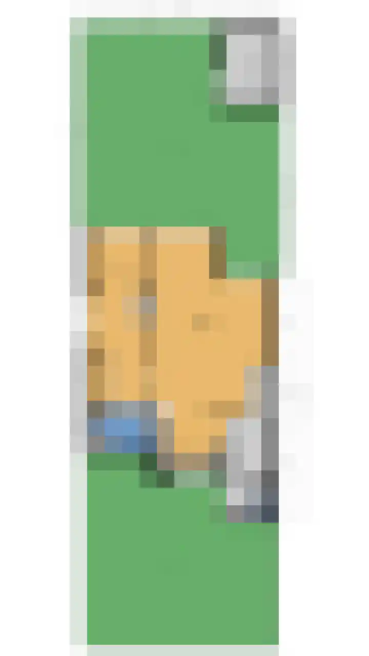 Wasbeer 1 Huizen thumbnail 27