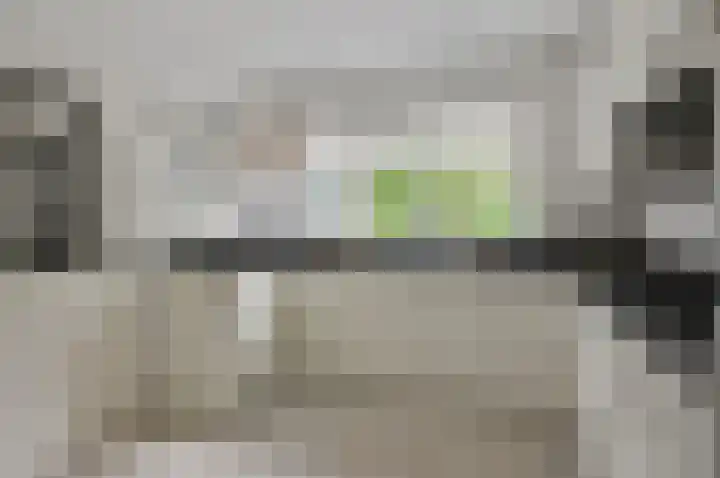 Wasbeer 1 Huizen thumbnail 9