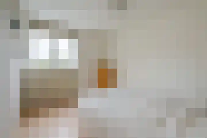 Wasbeer 27 Huizen thumbnail 13