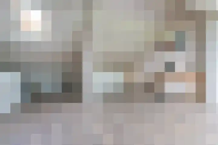 Wasbeer 27 Huizen thumbnail 22