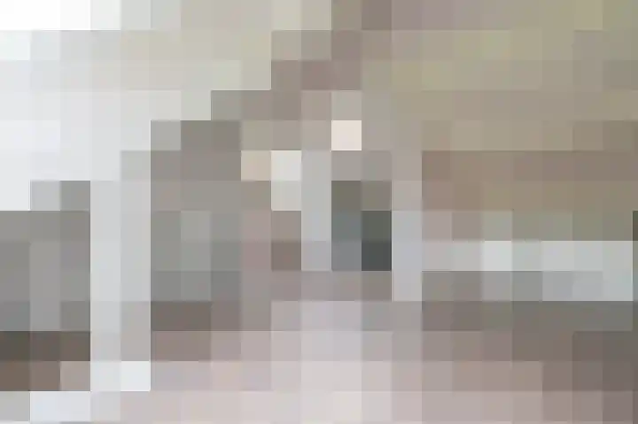 Wasbeer 27 Huizen thumbnail 23
