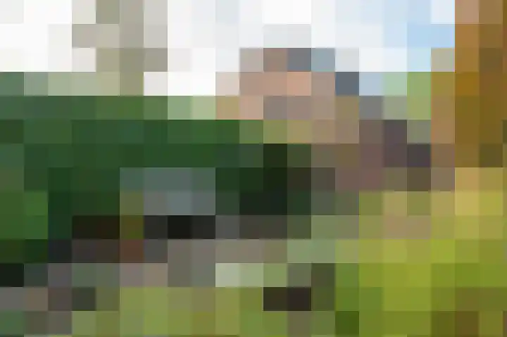 Wasbeer 27 Huizen thumbnail 24