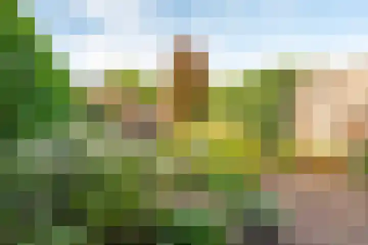 Wasbeer 27 Huizen thumbnail 25