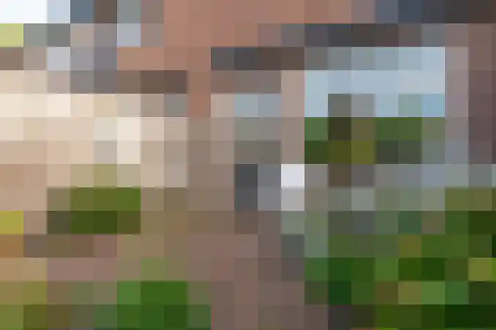 Wasbeer 27 Huizen thumbnail 26