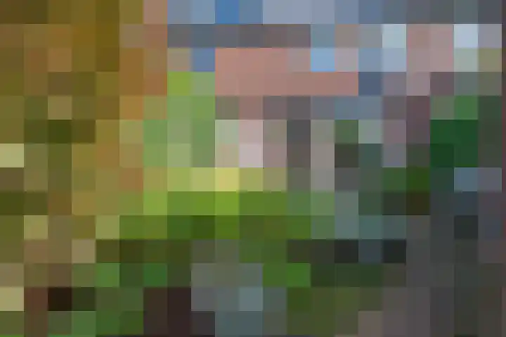 Wasbeer 27 Huizen thumbnail 27