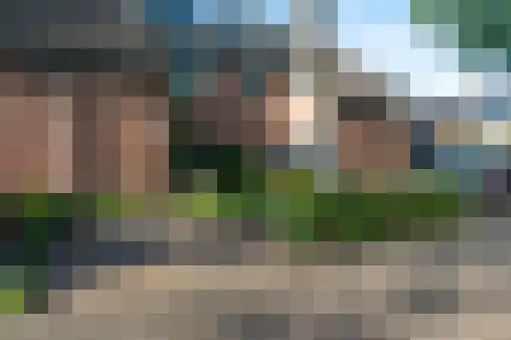 Wasbeer 27 Huizen thumbnail 29