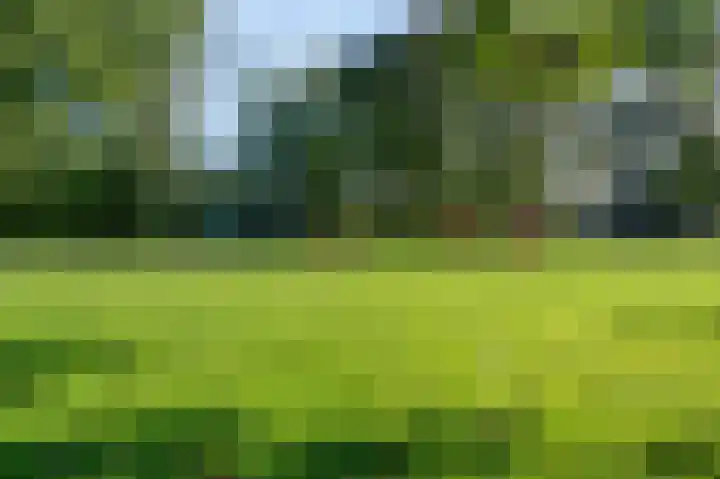 Wasbeer 27 Huizen thumbnail 30