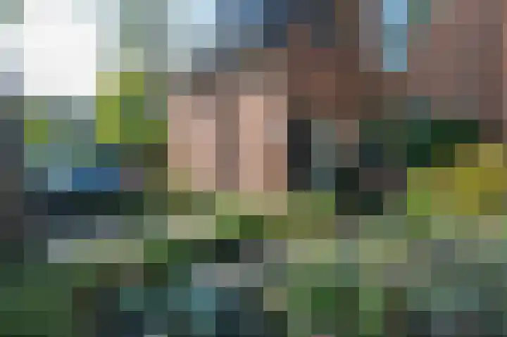 Wasbeer 27 Huizen thumbnail 31