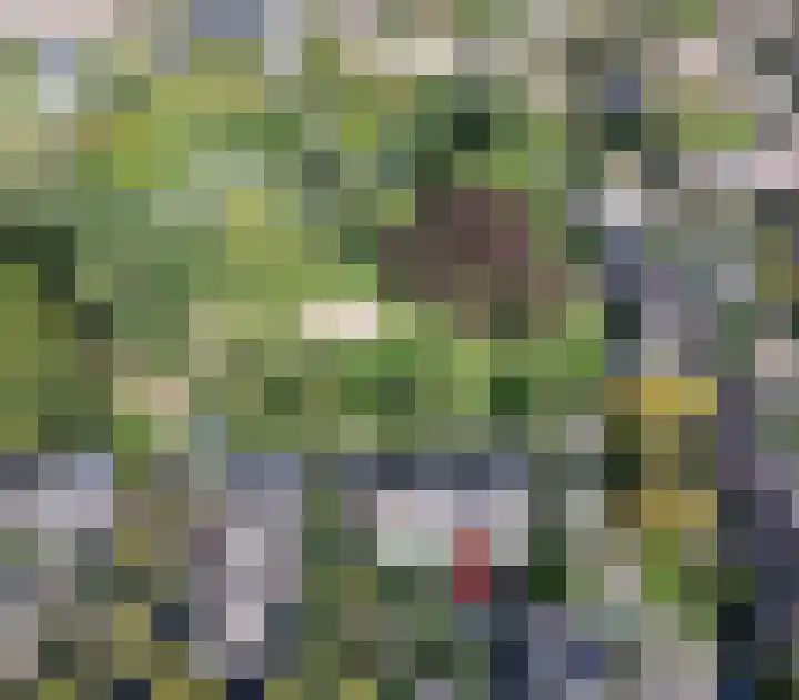 Wasbeer 27 Huizen thumbnail 33