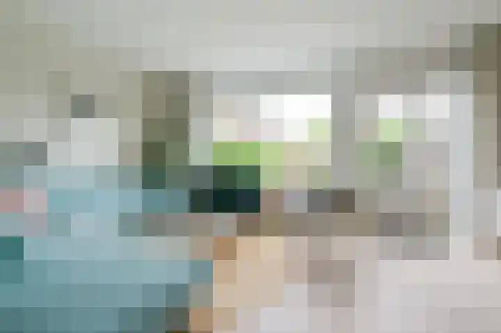 Wasbeer 27 Huizen thumbnail 4