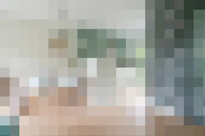 Wasbeer 27 Huizen thumbnail 6