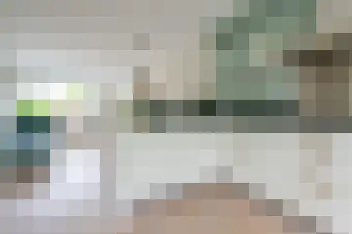 Wasbeer 27 Huizen thumbnail 7