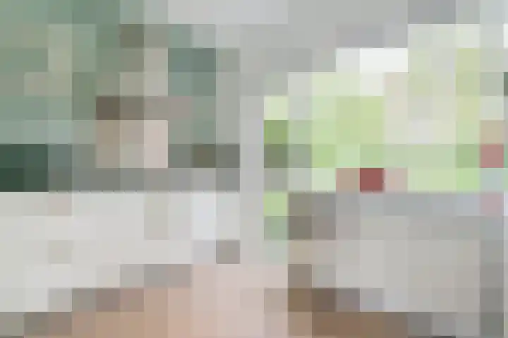 Wasbeer 27 Huizen thumbnail 8