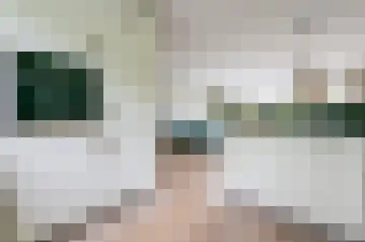 Wasbeer 27 Huizen thumbnail 9