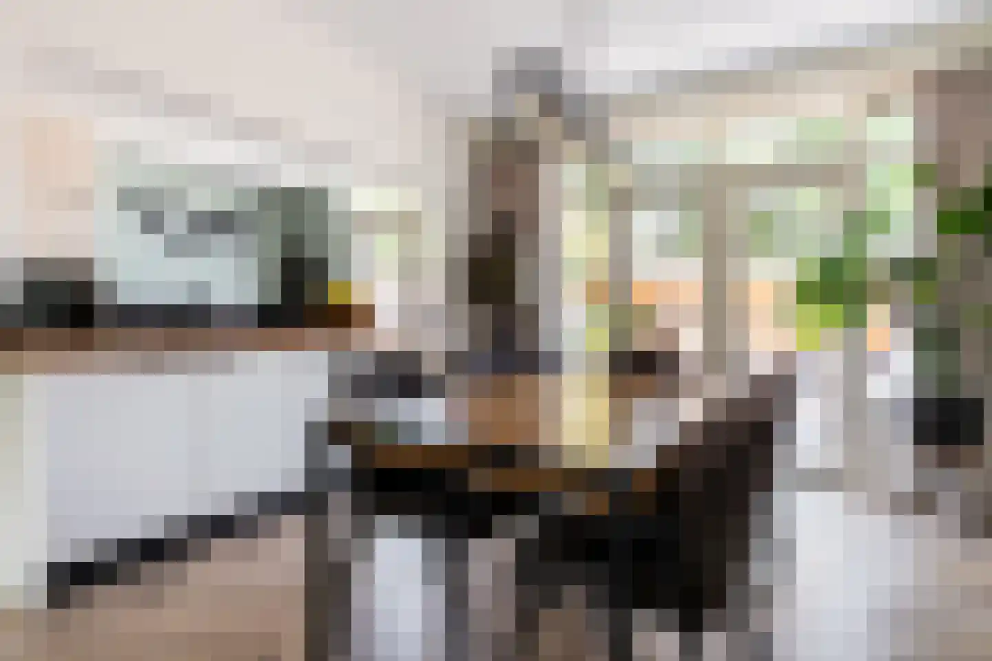 Wasbloem 11 Rotterdam thumbnail 10