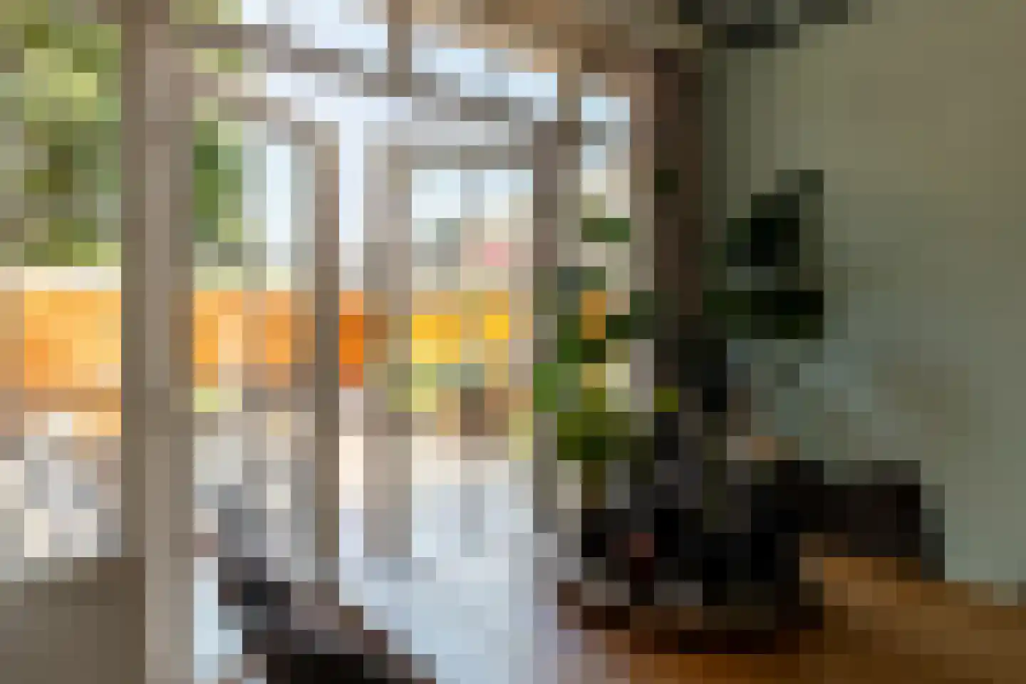 Wasbloem 11 Rotterdam thumbnail 15