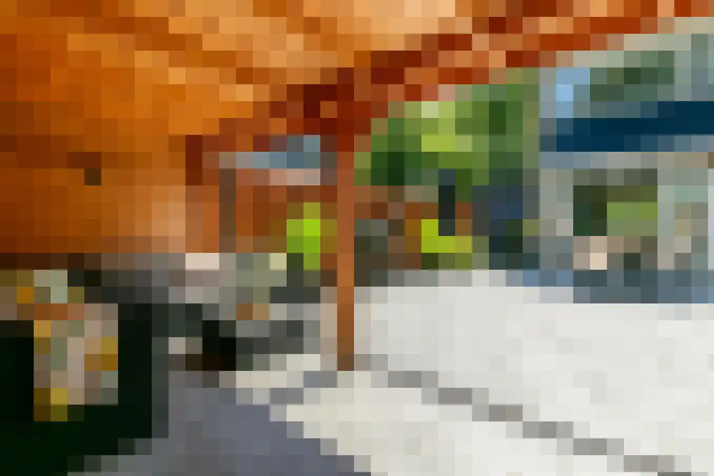 Wasbloem 11 Rotterdam thumbnail 19